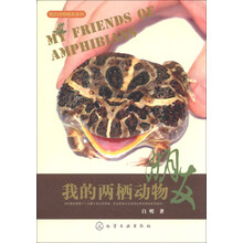 我的两栖动物朋友