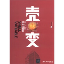 壳变-中山公用资本运营录