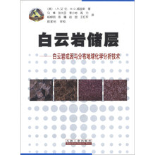 白云岩储层-白云岩成因与分布地球化学分析技术