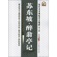 历代名家碑帖技法精解：苏东坡醉翁亭记（放大版）