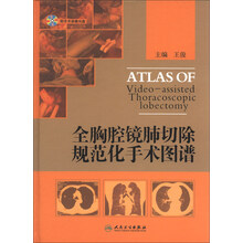 全胸腔镜肺切除规范化手术图谱