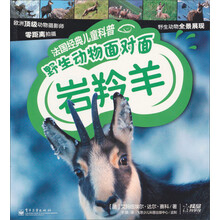 法国经典儿童科普·野生动物面对面：岩羚羊