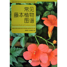 常见藤本植物图谱