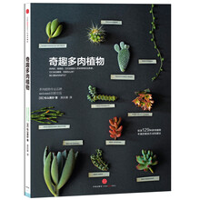 奇趣多肉植物