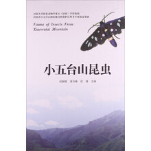 小五台山昆虫