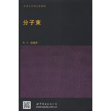 分子束(预订中,估价)