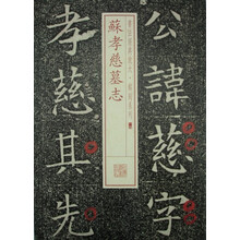 苏孝慈墓志