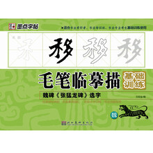 墨点字帖·毛笔临摹描基础训练：魏碑《张猛龙碑》选字