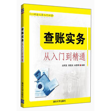 查账实务从入门到精通-财会人员入门必读