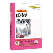 名师1+1导读系列：红楼梦