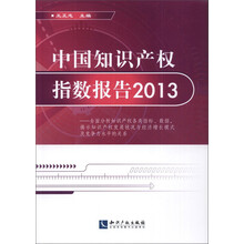2013-中国知识产权指数报告