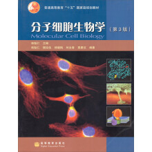 分子细胞生物学(第3版)
