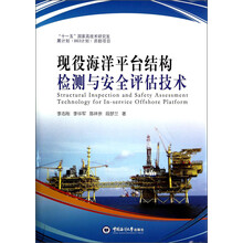 现役海洋平台结构检测与安全评估技术