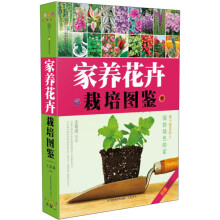 家养花卉栽培图鉴(汉竹)