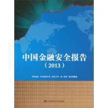 中国金融安全报告（2013）