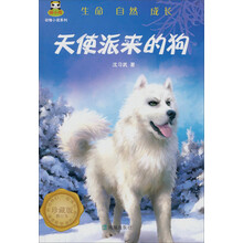 倔小孩动物小说：天使派来的狗（修订本）