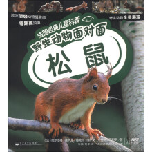 法国经典儿童科普·野生动物面对面:松鼠