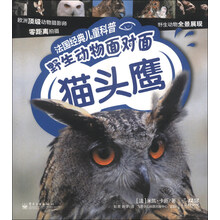 法国经典儿童科普·野生动物面对面:猫头鹰