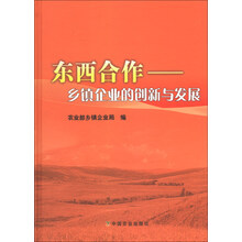 东西合作：乡镇企业的创新与发展