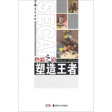 色彩之道：塑造王者