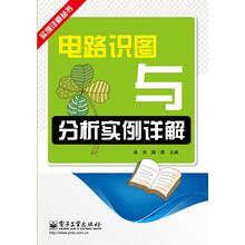 实例详解丛书：电路识图与分析