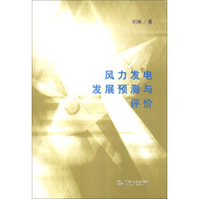 风力发电发展预测与评价
