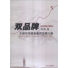 双品牌—大型汽车服务集团发展之路