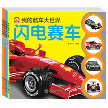 我的酷车大世界（套装共4册）