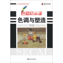 色彩启示录-色调与塑造