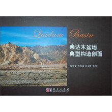 柴达木盆地典型构造剖面