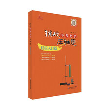 2014挑战中考化学压轴题：轻松入门篇