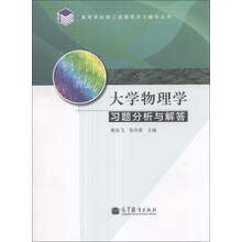 大学物理学习题分析与解答/高等学校理工类课程学习辅导丛书