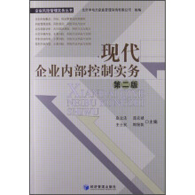 企业风险管理实务丛书：现代企业内部控制实务（第2版）