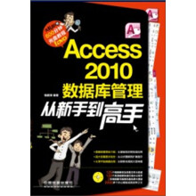 Access 2010数据库管理从新手到高手(附光盘1张)