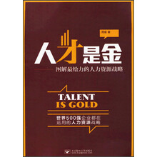 人才是金——图解最给力的人力资源战略