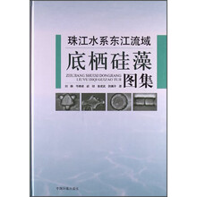 珠江水系东江流域底栖硅藻图集