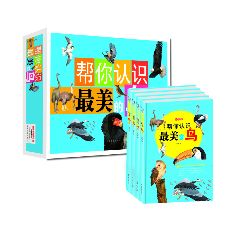 帮你认识最美的鸟（彩图版）（套装全4册）
