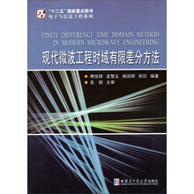 现代微波工程时域有限差分方法