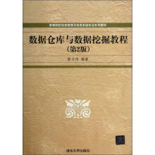 高等院校信息管理与信息系统专业系列教材：数据仓库与数据挖掘教程（第2版）