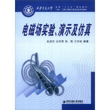 电磁场实验.演示及仿真
