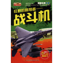 解密经典兵器·狂野的翱翔者:战斗机(附机密档案解密卡1张)