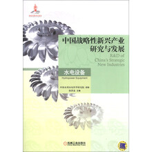 水电设备-中国战略性新兴产业研究与发展