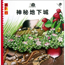 3岁以上-神秘地下城-科普翻翻书