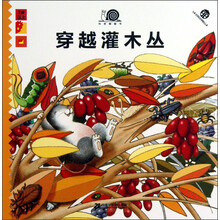 3岁以上-穿越灌木丛-科普翻翻书
