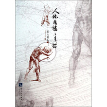 人体结构与素描