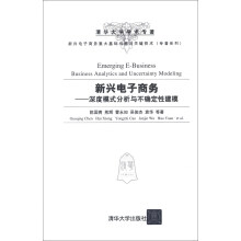 新兴电子商务重大基础问题与关键技术（专著系列）·新兴电子商务：深度模式分析与不确定性建模