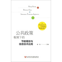 公共政策框架下的节能增效与信息技术应用