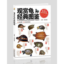 观赏龟经典图鉴