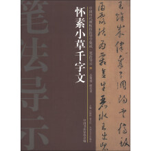 怀素小草千字文-中国历代碑帖技法导学集成.笔法导示-25