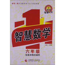 智慧数学·六年级